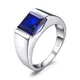 Alloy Imitation Blue Emerald Men's Ring Classical Red Crystal Stone Ring Male Accessories Party
