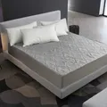 Solid Color Quilted Embossed Waterproof Mattress Protector Fitted Sheet Style Cover for Mattress