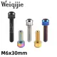 Weiqijie titan m6x30mm Schrauben Innen sechs kant schrauben mit Unter leg scheiben zur Montage von