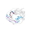 61129438230 Cavo del cablaggio PDC del sensore di parcheggio del paraurti anteriore da 1 pezzo per ricambi auto BMW Serie 3 G20
