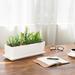 Latitude Run® Estalis Ceramic Pot Planter Ceramic | 4.64 H x 14.56 W x 6.1 D in | Wayfair 2DA40CC67B0D417BA156FC9C2A35913B