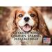 Cavalier King Charles Spaniel Calendar 2024 Monthly Wall Calender 12 Month