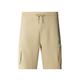 THE NORTH FACE Men's Icons Cargo Shorts - Grey, Grey, Size M, Men