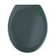 Wenko 19657100 Premium Ottana Thermoset Plastic Toilet Seat, Dark Grey