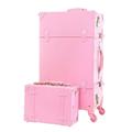 NESPIQ Business Travel Luggage Vintage Luggage Sets,2 Piece Spinner Wheels Hard Shell Travel Carry On Suitcases Light Suitcase (Color : Roze, Size : 12+24inch)