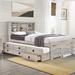 Farmhouse Style Twin Size Bookcase Captain Bed with Three Drawers and Trundle, Rustic White