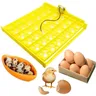 Automatic Turning Tray Chicken Incubators Tray Incubation Accessory Turner Equipment for Incubating