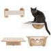 Tucker Murphy Pet™ Elmaz 4 Pcs Cat Perch Jumping Toy 2 Ways Suction Cups/Wall-mounted Manufactured Wood in Brown/White | Wayfair
