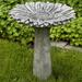 Campania International Sunflower Birdbath Concrete, Copper in Brown | 27.25 H x 24.5 W x 24.5 D in | Wayfair B-154-TR