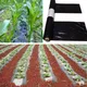 25m White+Black Agriculture Film Farm Garden Plastic Mulch Film Plants Cover Pest Weed Control Keep
