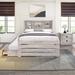 Wondrous Iconic Farmhouse Style Bookcase Captain Bed w/ Three Drawers & Trundle Wood in Brown/White | 48.7 H x 58.8 W x 82.7 D in | Wayfair