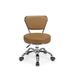 Latitude Run® Dayton Height Adjustable Lab Stool Metal/Fabric in Brown | 25 H x 21 W x 21 D in | Wayfair 06C4A8C6DD8844C7AE7A37DDA7697A68