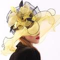 Organza / Plumes / Filet Chapeau Kentucky Derby / Fascinateurs / Coiffe avec Plume / Fleur / Rapporter 1 PC Mariage / Extérieur / Fête du thé Casque