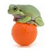 Posterazzi Frog Sitting On A Golf Ball Poster Print by Corey Hochachka - 32 x 22 - Large