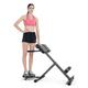 Roman Chair Back Extension Machine Bench Exercise Strength Training Back Machines For Home Gym Back Exercise Bench