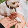 Ehering Träger Beutel für Hunde halsband Leder Ehering Box Halter Haustier liefert für Vorschlag