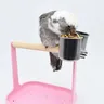Pappagallo stand pole table small stand bird stand stick bird stand food cup platform training stand