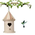 Maison d'oiseau en bois bricolage mangeoire à oiseaux extérieure artisanat de peinture pour