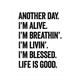 Another Day Life Is Good - Motivational Wall Decor Inspirational Typography Poster Print Wall Art For Home Decor Office Decor Classroom Decor Desk & Cubicle Decor Unframed - 8x10