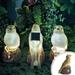 Hesxuno Solar Lights for Outside Parrot Solar Outdoor Lights Fake Parrot IP65 Outdoor Solar Powered Led for Patio Lights Lighting