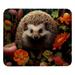 Hedgehog Gaming Mouse Pad Mouse Mat Mouse Pad - Square 8.3x9.8 Inch Printed Non-Slip Rubber Bottom - Suitable for Office and Gaming