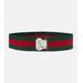 Web Stripe luggage Strap