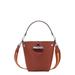 Extra Small Roseau Box Leather Bucket Bag