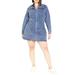 Oaklyn Long Sleeve Denim Dress