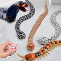 Rc Snake Robots Toys for Kids Boys Children Girl 5 6 7 8 Years Old Gift Remote Control Animals Prank