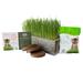 Organic Cat Grass Seeds Kit - Decorative Reclaimed Barnwood Style Organic Wheatgrass Seeds Planter - Aged Brown - Hairball Remedy for Cats Healthy Pet Grass Supplement & Wheatgrass Growing Kit