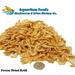 Freeze Dried Krill- Tropical Fish Marine Fish Koi Fish Turtles...3-lb