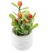 Indoor Plant Pots Artificial Home+decor Mini Garden Miniature Bonsai Plastic