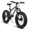 imerelez 20 Inch Fat Tire Bike Adult/Youth Full Shimano 7 Speed Mountain Bike Dual Disc Brake High-Carbon Steel Frame Front Suspension Mountain Trail Bike Urban City Bicycle Fat tire bike