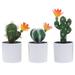 3pcs Artificial Cactus Bonsai Ornament Creative Lifelike Cactus Figurines Decorative Fake Plant