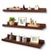 Floating Shelves Wall Mounted Set of 3, 24 Inch Dark Walnut Solid Wood Shelves for Wall, Wall Storage Shelves with Lip Design