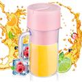 Lepmerk - Frullatore portatile per frullati e frullati, mini frullatore da 340 ml con manico, 6