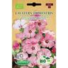 Germisem Biologico Lavatera Trimestris Semi di Malva 1 g