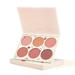 6 Colors Blush Palette for Cheek Makeup Blush Colors Dirty Orange Plum Dried Rose Face Makeup Tool 6 Colors Blush Palette