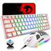 LexonElec 60% Mechanical Gaming Keyboard Blue Switch Mini 68 Keys Wired Type C 18 Backlit Effects Lightweight RGB 6400DPI Honeycomb Optical Mouse Gaming Mouse pad for Gamers and Typists (White)