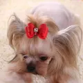 10 pinces à cheveux avec nœud papillon accessoires de décoration pour chien et chat