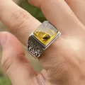 Insekten Bernstein ringe für Unisex S925 Silber innere natürliche Tier fliegende veränderbare Ring