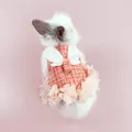 Robe lapin de vacances Costume mignon harnais ensemble avec laisse accessoires pour petits