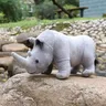 Jouet en peluche de rhinocéros réalistes pour enfants rhinocéros africains animaux sauvages