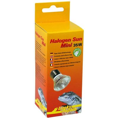 Halogen Sun Mini Doppelpackung - 35W - Lucky Reptile