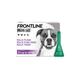 FRONTLINE Plus Flea and Tick Treatment Dogs and Cats - Large Dog (20-40kg) - 3 Pack