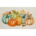 Fall Pumpkins Vintage Kitchen Rug by Mohawk Home in Vintage (Size 30 X 50)