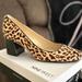 Nine West Shoes | Brand New Never Worn Nine West Cheetah Print Vibe 9x9 Block Heel | Color: Brown/Tan | Size: 12