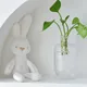 Dog Plush Squeak Toys Stuffed Puppy Chew Toy Soft Hide and Seek for Teeth Cleaning White Bunny-style