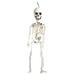 Kaloaede Halloween Skeleton Decorations Full Body Halloween Skeleton With Movable Joints For Best Halloween Decor Chandelier Ornament Car