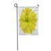 KDAGR Yellow Flower on White Clipping Path Closeup Beautiful Bright Garden Flag Decorative Flag House Banner 12x18 inch